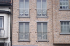 Borstweringen_15-april-09-027